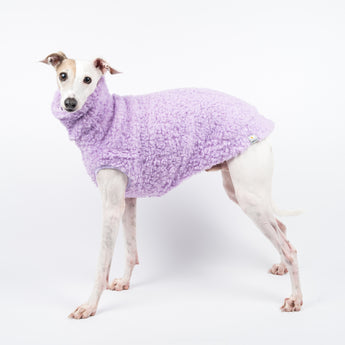 Italian Greyhound dog wearing a fluffy reversible sleeveless sweater/jumper in lilac/purple colour standing left side on