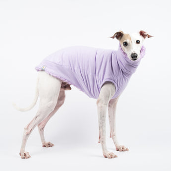 Italian Greyhound dog wearing a fluffy reversible sleeveless sweater/jumper in lilac/purple colour reverse side standing right side on