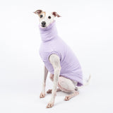 Italian Greyhound dog wearing a fluffy reversible sleeveless sweater/jumper in lilac/purple colour reverse side sitting left on