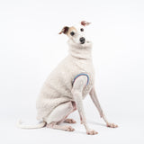 Italian Greyhound dog wearing a fluffy reversible sleeveless sweater/jumper in vanilla/white colour sitting right side on