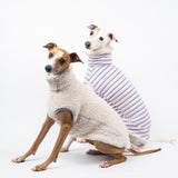 Two Italian Greyhound dogs wearing a fluffy reversible sleeveless sweater/jumper in vanilla/white colour, one is wearing it on the reverse side.