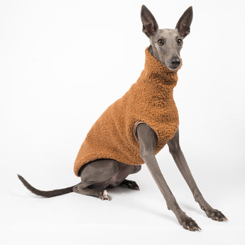 Whippet dog wearing a fluffy reversible sleeveless sweater/jumper in caramel/brown colour sitting right side