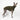 Whippet dog wearing a fluffy reversible sleeveless sweater/jumper in khaki/green colour standing right side on