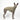 Whippet dog wearing a fluffy reversible sleeveless sweater/jumper in khaki/green colour reverse side standing right side on
