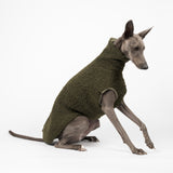Whippet dog wearing a fluffy reversible sleeveless sweater/jumper in khaki/green colour sitting right side on