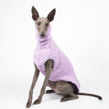 Whippet dog wearing a fluffy reversible sleeveless sweater/jumper in lilac/purple colour sitting