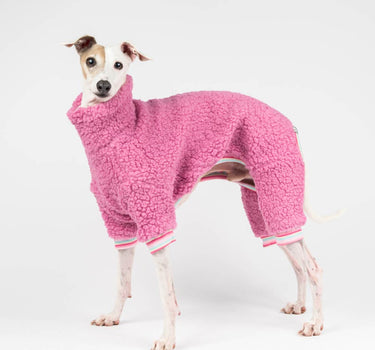 Italian greyhound dog wearing a fluffy reversible onesie in bubblegum pink standing left side on
