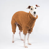 Italian greyhound dog wearing a fluffy reversible onesie in caramel standing right side