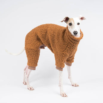 Italian greyhound dog wearing a fluffy reversible onesie in caramel standing right side on