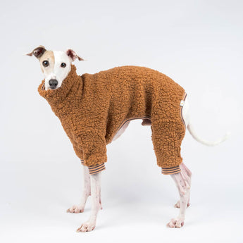 Italian greyhound dog wearing a fluffy reversible onesie in caramel standing left side on