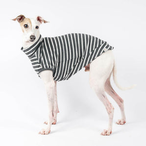 Italian Greyhound Ribbed Sleeveless - Charcoal Stripe