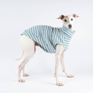 Italian Greyhound Ribbed Sleeveless - Dusty Blue Stripe