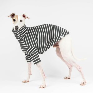 Italian Greyhound Ribbed Turtleneck Sweater - Charcoal Stripe