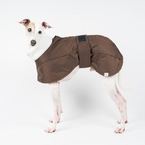 Italian Greyhound Winter Coat Chocolate Snootly