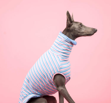snootly fluffy reversible sleeveless sweater jumper whippet