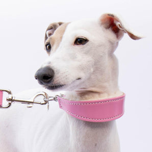 Small Pink Leather Wool-lined Martingale Collar for Italian Greyhounds - IGGY DOGWEAR