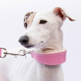 Small Pink Leather Wool-lined Martingale Collar for Italian Greyhounds - IGGY DOGWEAR