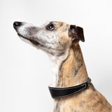 Black Leather Wool-lined Martingale Collar