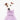 Italian greyhound dog wearing a fluffy reversible onesie in purple/lilac close up head shot