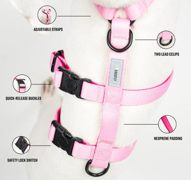 Meet the Houdini Harness: No More Escaping Iggies or Whippets