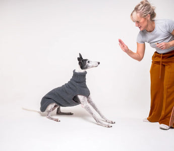 It's finally here: Greyhound Coats, Sweaters Australia | Snootly