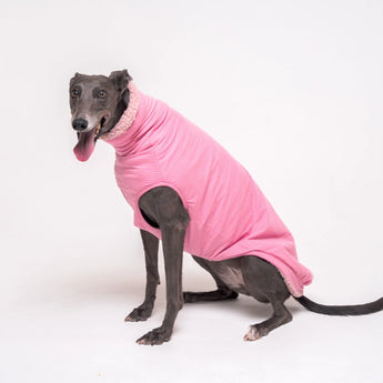 Greyhound Sleeveless Sweaters