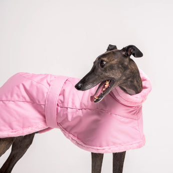 Greyhound Coats