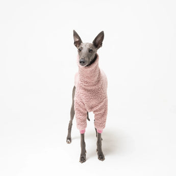 Whippet Collection