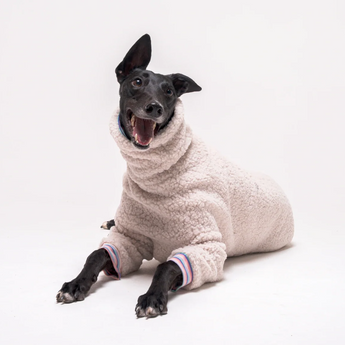Greyhound Sweaters