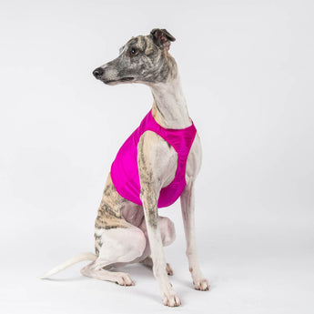 Lure Coursing Jackets