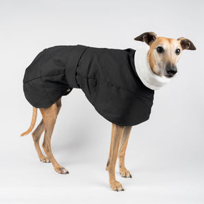 Whippet Winter Coat in Black