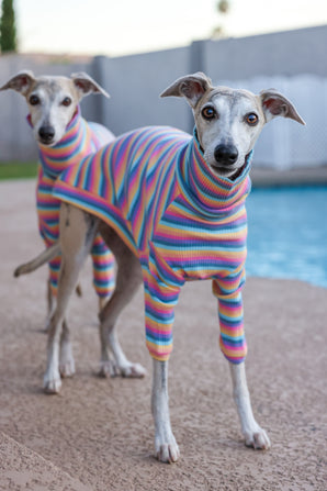 Ribbed Turtleneck Sweater in Sherbet Stripe - Whippet