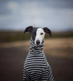 Ribbed Turtleneck Sweater in Charcoal Stripe - Whippet