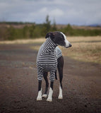 Ribbed Turtleneck Sweater in Charcoal Stripe - Whippet