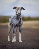 Ribbed Turtleneck Sweater in Charcoal Stripe - Whippet