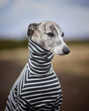 Ribbed Turtleneck Sweater in Charcoal Stripe - Whippet