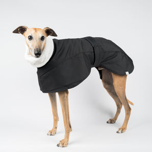 Whippet Winter Coat in Black