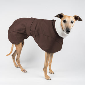 Whippet Winter Coat in Chocolate