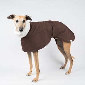 Whippet Winter Coat in Chocolate