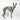 Houdini Harness - Blue - Whippet