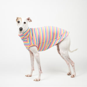 Ribbed Sleeveless Sweater in Sherbet Stripe - Italian Greyhound