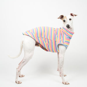 Ribbed Sleeveless Sweater in Sherbet Stripe - Italian Greyhound