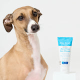 Dr Zoo zin free sun cream with italian greyhound