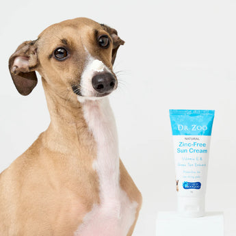 Dr Zoo zin free sun cream with italian greyhound