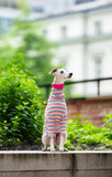 Ribbed Turtleneck Sweater in Sherbet Stripe - Whippet