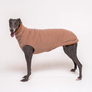 Greyhound dog wearing Snootly fluffy reversible sleeveless sweater in caramel on white background