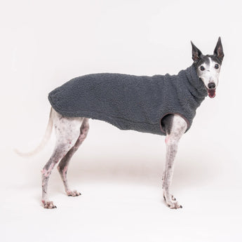 Greyhound dog wearing Snootly fluffy reversible sleeveless sweater in charcoal grey on white background