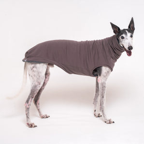 Greyhound dog wearing Snootly fluffy reversible sleeveless sweater in charcoal grey on white background
