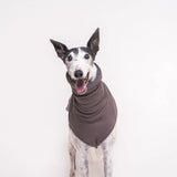 Greyhound dog wearing Snootly fluffy reversible sleeveless sweater in charcoal grey on white background