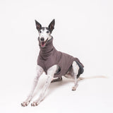 Greyhound dog wearing Snootly fluffy reversible sleeveless sweater in charcoal grey on white background